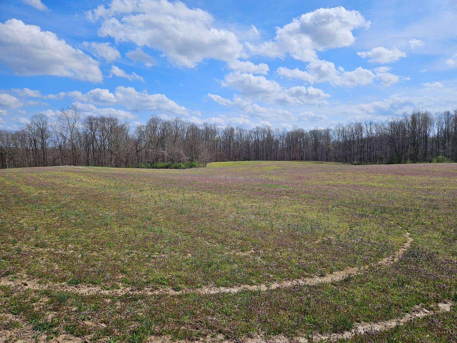 35.5 Acres of Agricultural Land for Sale in Hillsboro, Ohio