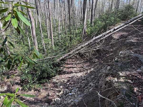 15.2 Acres of Land for Sale in Beech Mountain, North Carolina