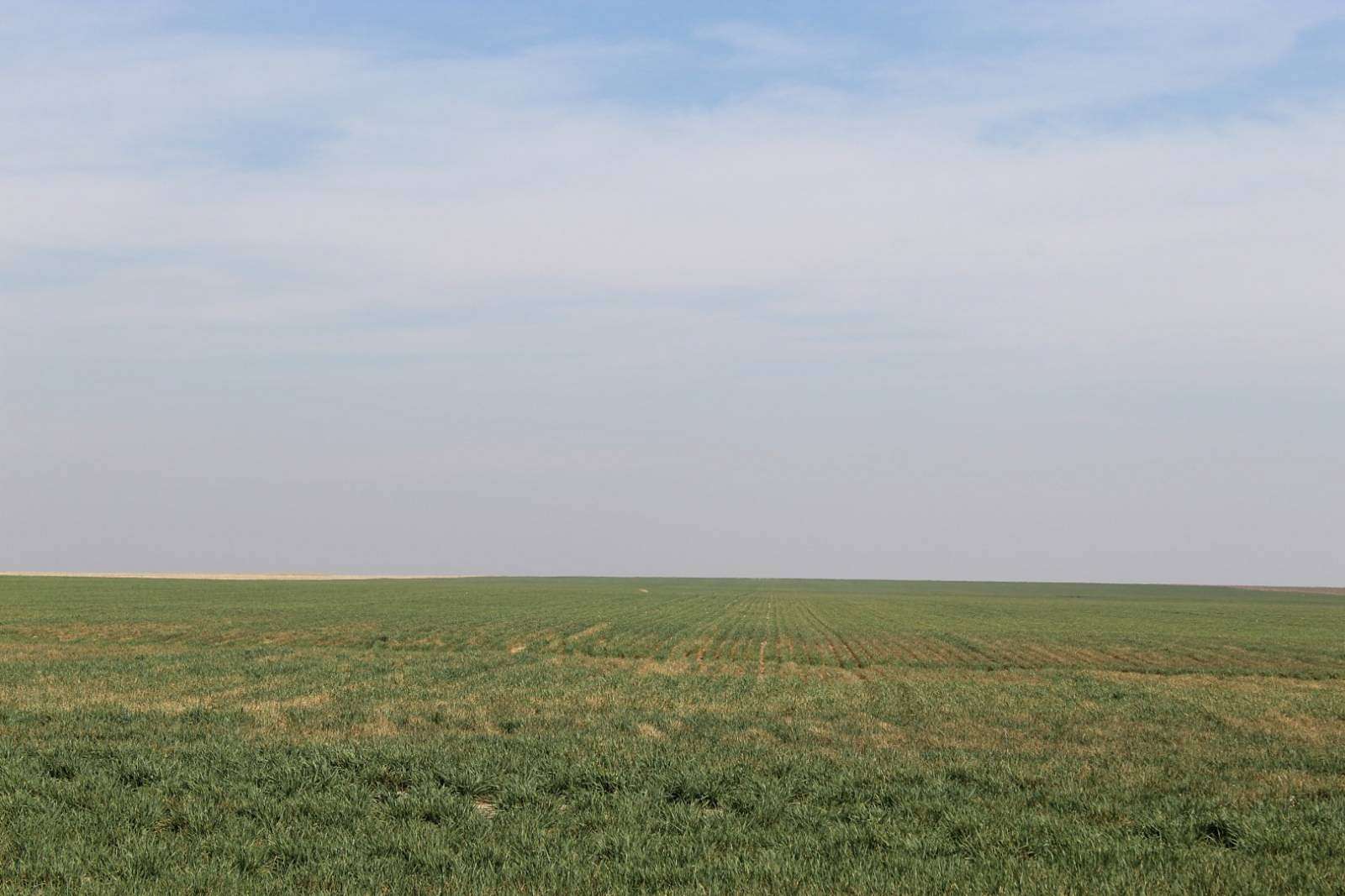 300 Acres of Land for Sale in Winona, Kansas