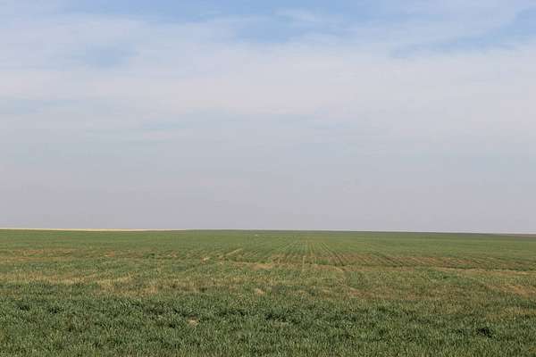 300 Acres of Land for Sale in Winona, Kansas