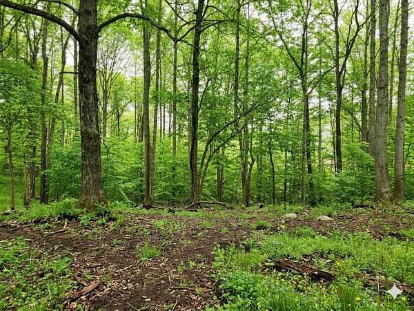 1.55 Acres of Residential Land for Sale in Leoma, Tennessee