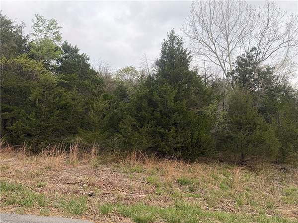 0.33 Acres of Residential Land for Sale in Holiday Island, Arkansas