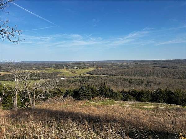 47.8 Acres of Land for Sale in Lead Hill, Arkansas
