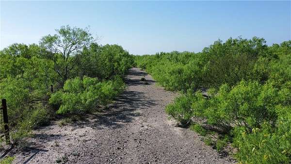 55.8 Acres of Agricultural Land for Sale in Freer, Texas