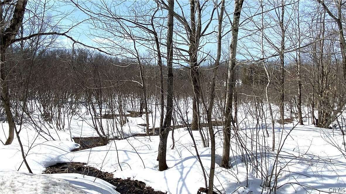 30.5 Acres of Recreational Land for Sale in Lorraine, New York