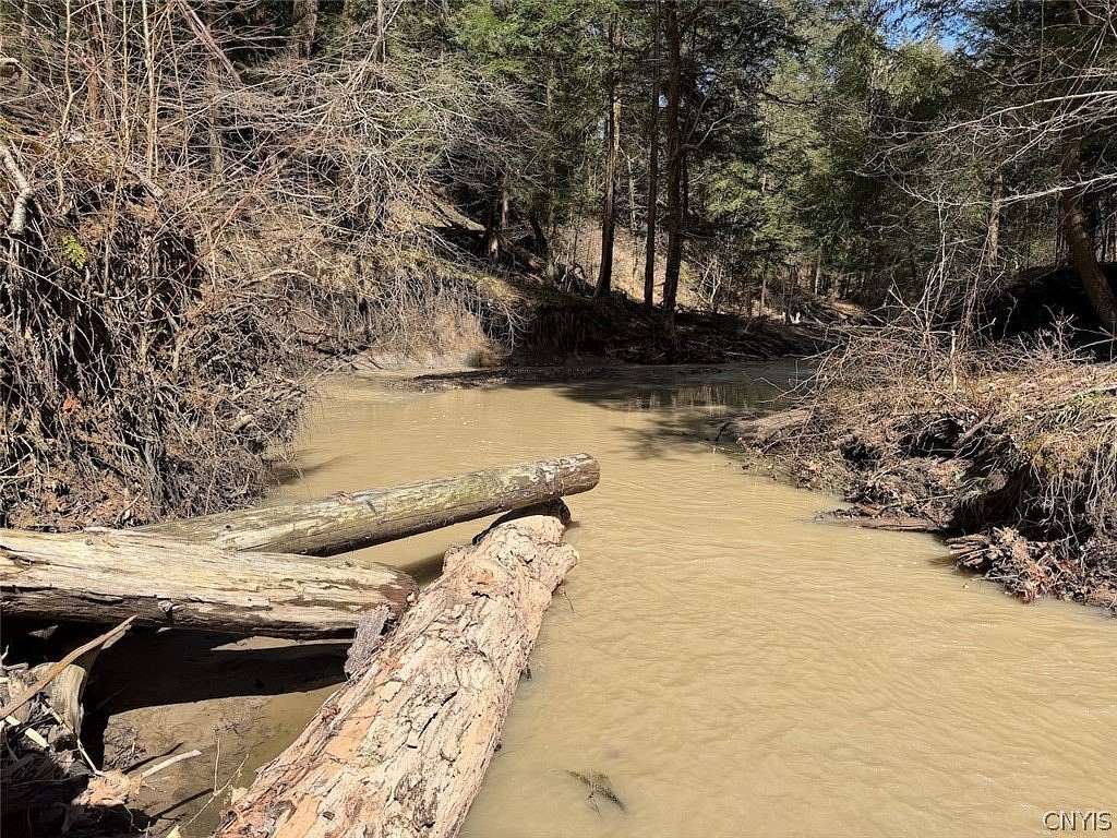 10.8 Acres of Recreational & Residential Land for Sale in Gowanda, New York