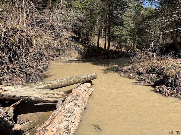 10.8 Acres of Recreational & Residential Land for Sale in Gowanda, New York