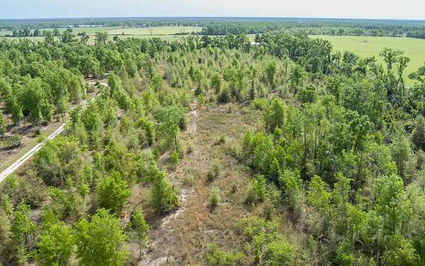 18.1 Acres of Recreational & Residential Land for Sale in Mayo, Florida