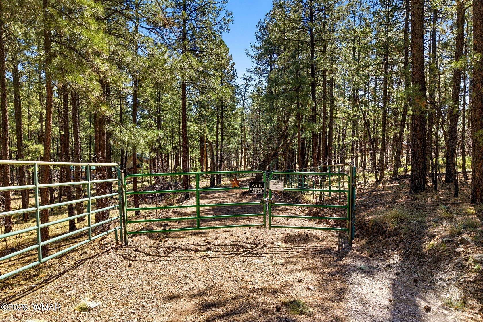 1 Acre of Residential Land for Sale in Alpine, Arizona