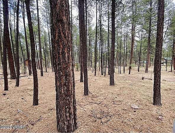 1 Acre of Residential Land for Sale in Alpine, Arizona