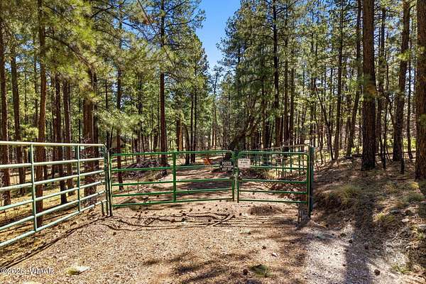 1 Acre of Residential Land for Sale in Alpine, Arizona
