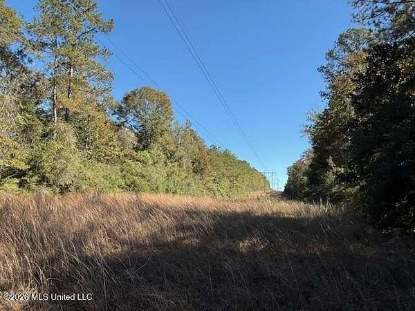 17.4 Acres of Land for Sale in Franklinton, Louisiana