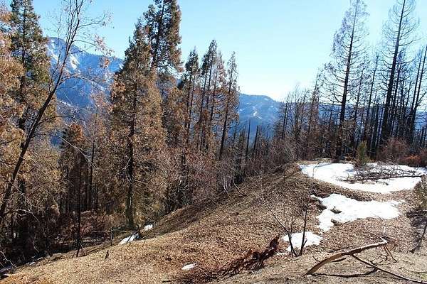 2.16 Acres of Residential Land for Sale in Springville, California