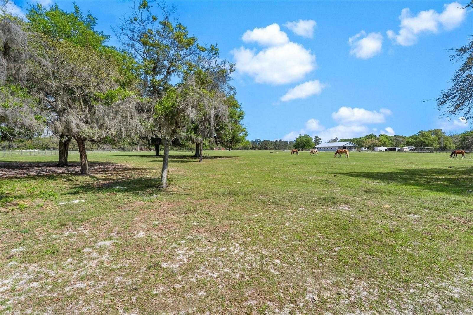 10 Acres of Land for Sale in Eustis, Florida