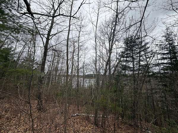 5.4 Acres of Residential Land for Sale in Lac du Flambeau, Wisconsin
