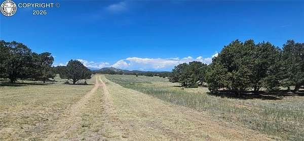 5 Acres of Improved Residential Land for Sale in Cotopaxi, Colorado