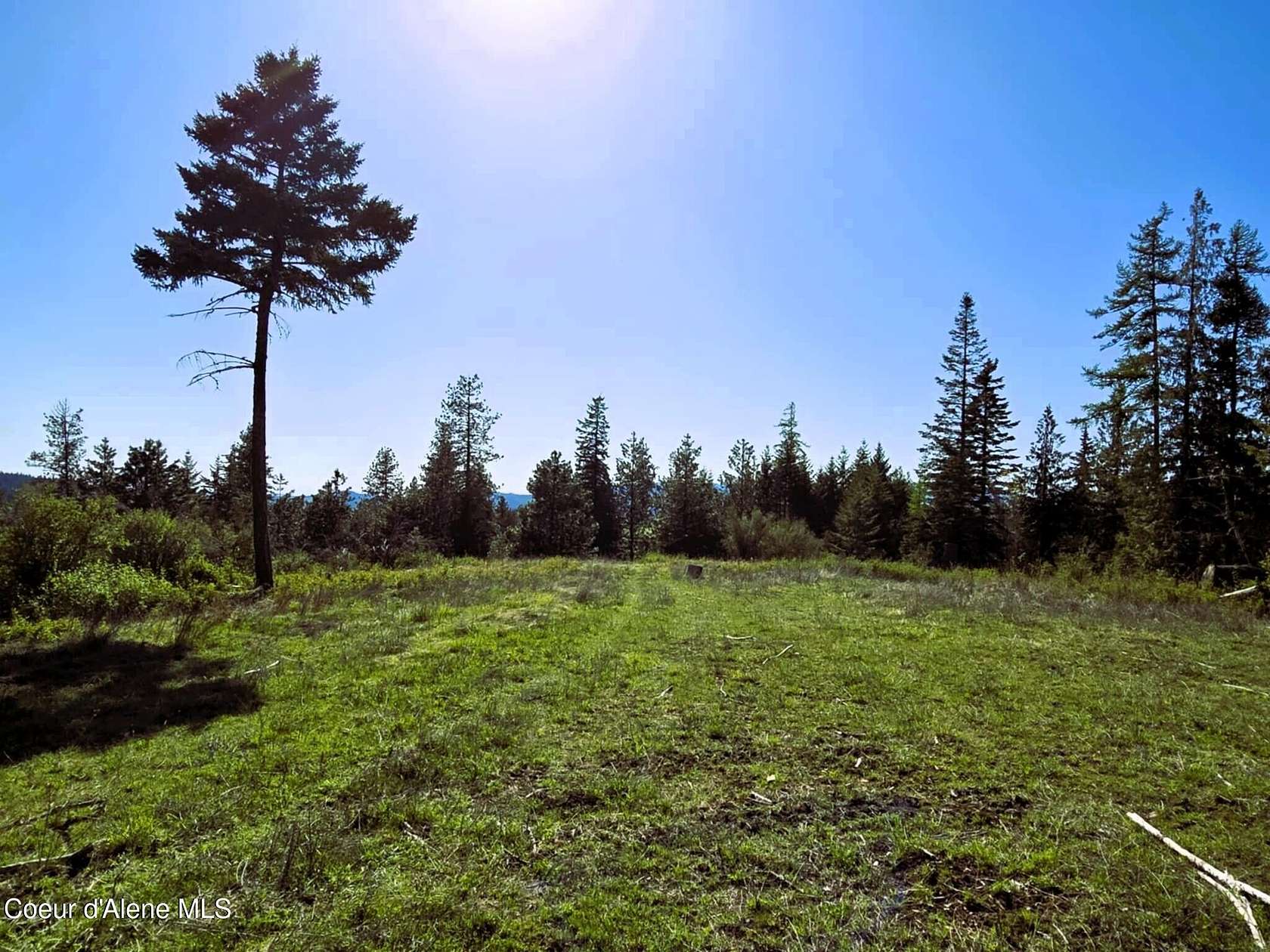 20 Acres of Recreational & Residential Land for Sale in Harrison, Idaho
