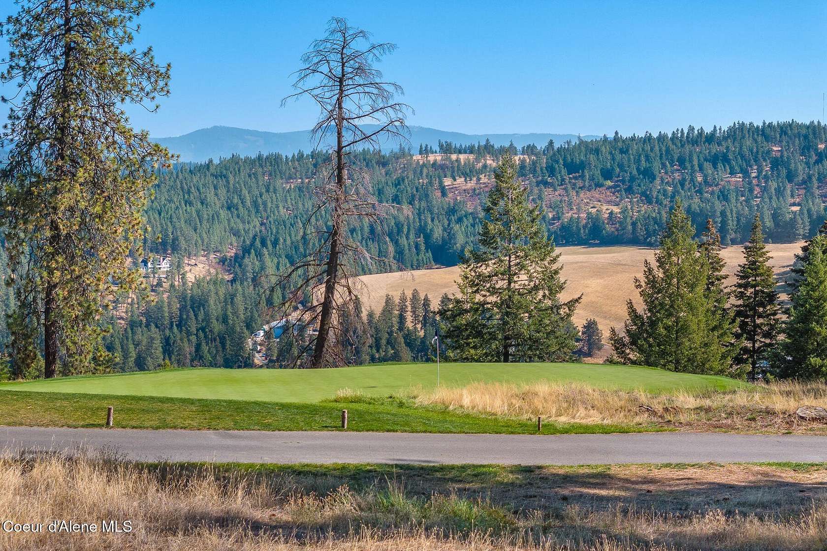 1.26 Acres of Residential Land for Sale in Harrison, Idaho