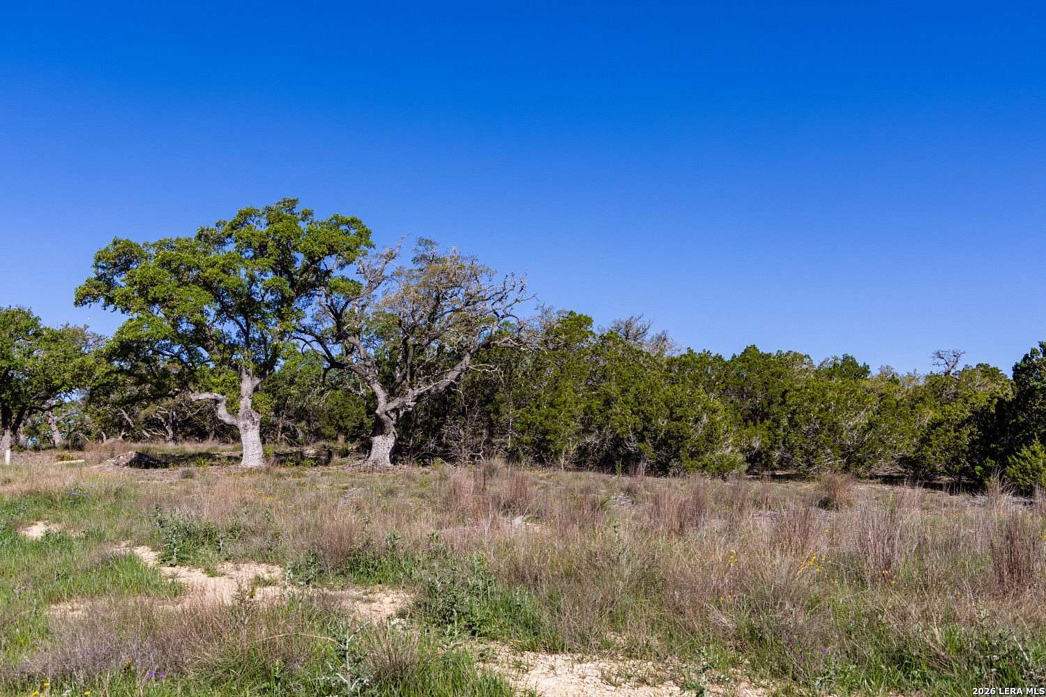 11 Acres of Land for Sale in Bulverde, Texas