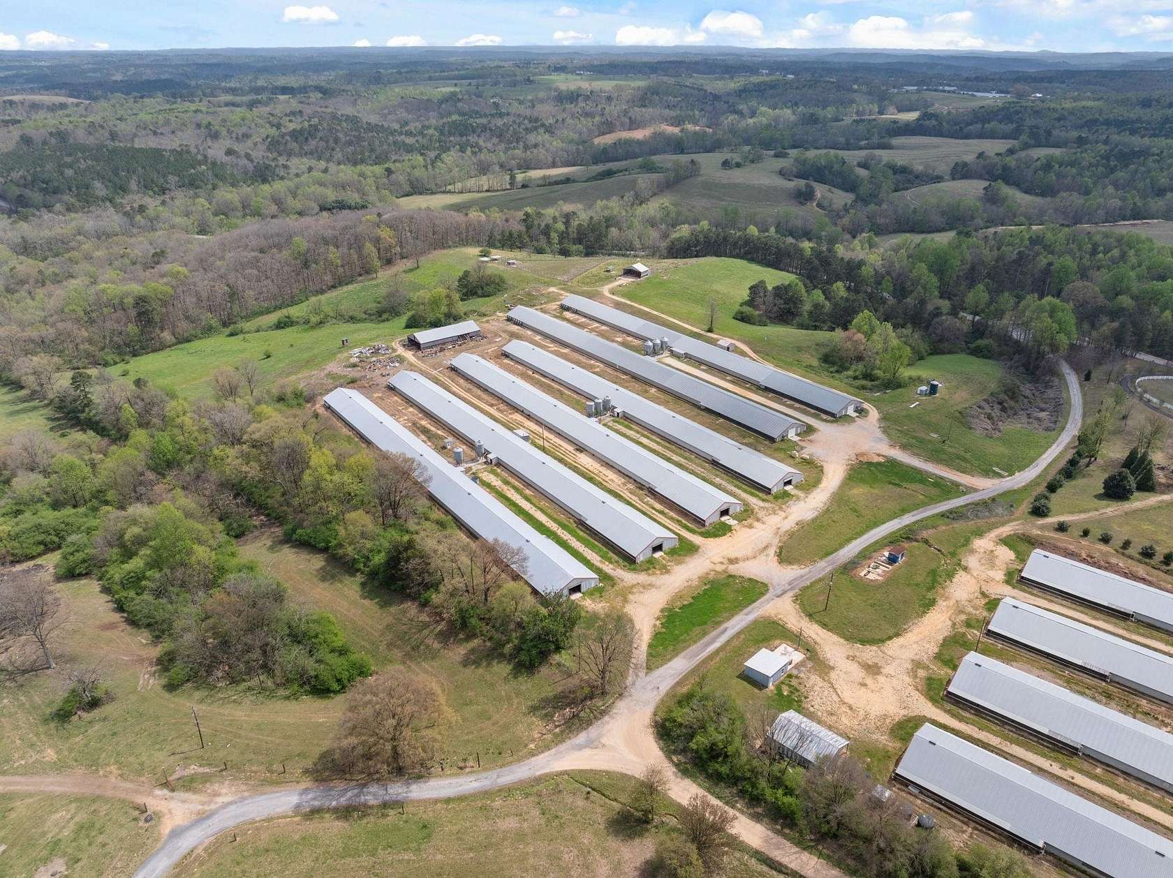 34 Acres of Land for Sale in Hackleburg, Alabama