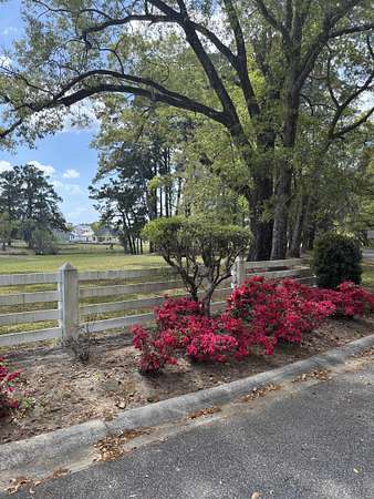 0.23 Acres of Residential Land for Sale in Georgetown, South Carolina