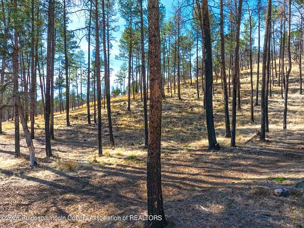 5 Acres of Residential Land for Sale in Ruidoso, New Mexico