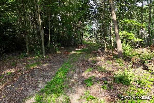 10 Acres of Recreational & Residential Land for Sale in Trufant, Michigan