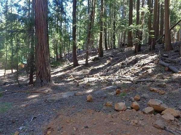 0.33 Acres of Land for Sale in Canyondam, California