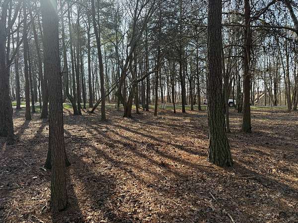 0.27 Acres of Land for Auction in Rising Fawn, Georgia