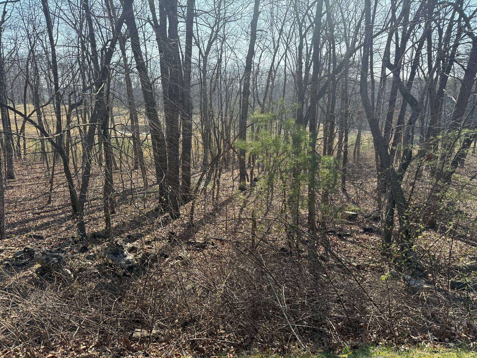 0.23 Acres of Land for Auction in Rising Fawn, Georgia