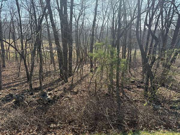 0.23 Acres of Land for Auction in Rising Fawn, Georgia