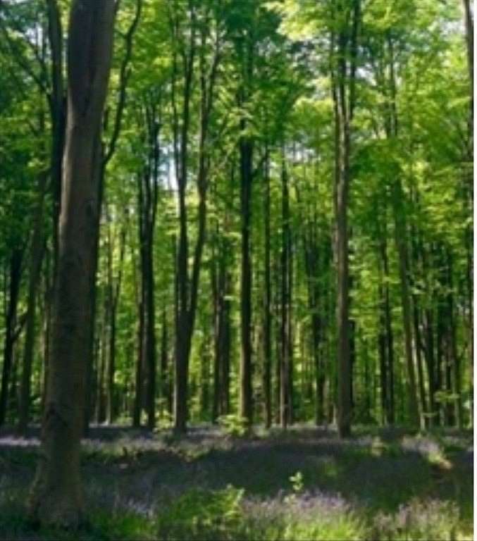 4 Acres of Residential Land for Sale in Easton, Massachusetts