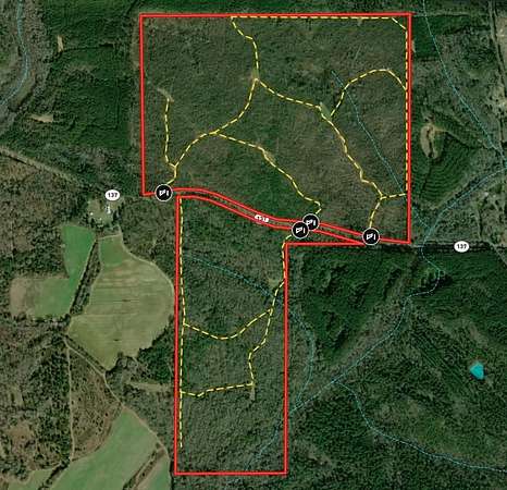 337 Acres of Recreational Land for Sale in Buena Vista, Georgia