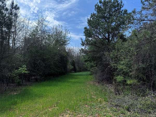 337 Acres of Recreational Land for Sale in Buena Vista, Georgia