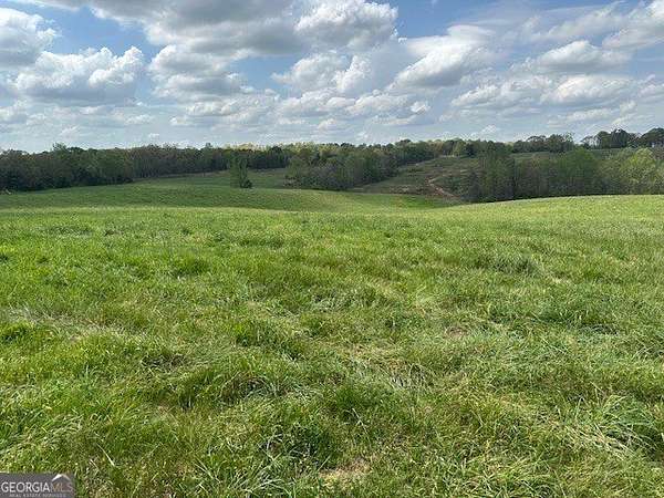 30 Acres of Agricultural Land for Sale in Eastanollee, Georgia