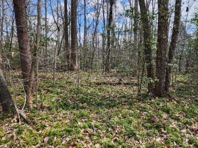 10.8 Acres of Recreational Land for Sale in Oneida, Tennessee