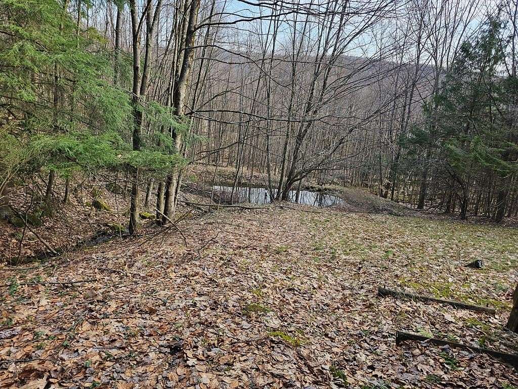1.48 Acres of Land with Home for Sale in Tionesta, Pennsylvania