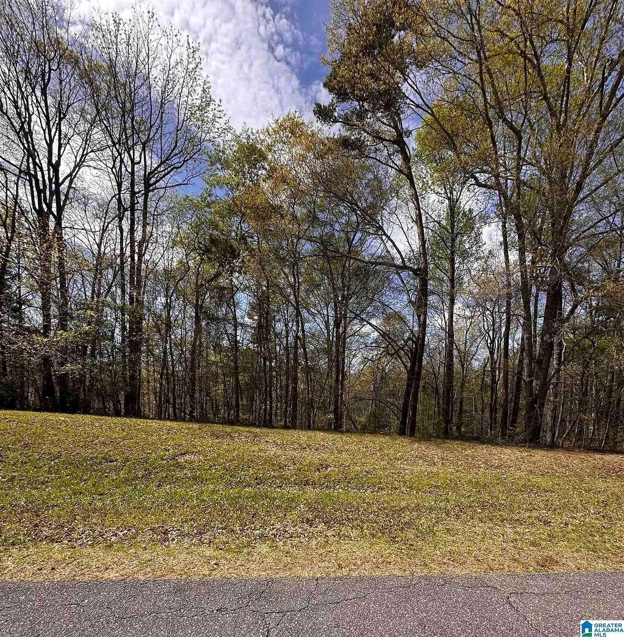 1.57 Acres of Residential Land for Sale in Wedowee, Alabama