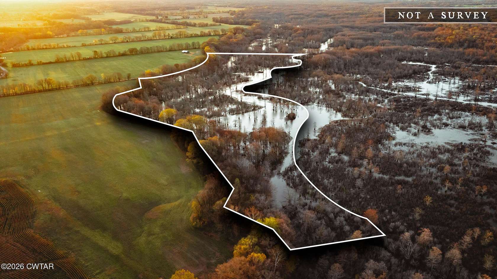 36 Acres of Land for Sale in Trenton, Tennessee