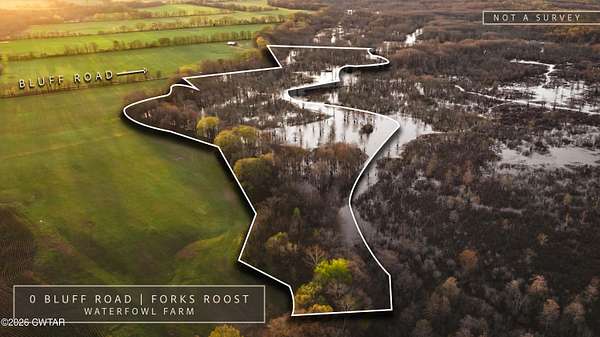 36 Acres of Land for Sale in Trenton, Tennessee