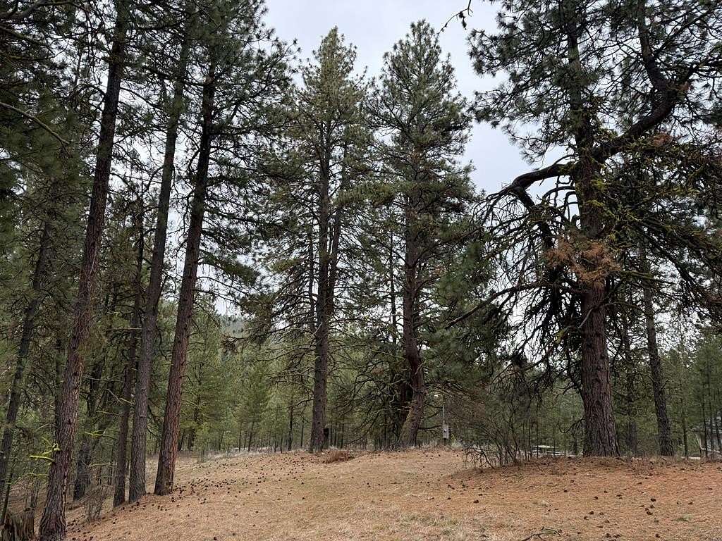0.86 Acres of Residential Land for Sale in Cascade, Idaho