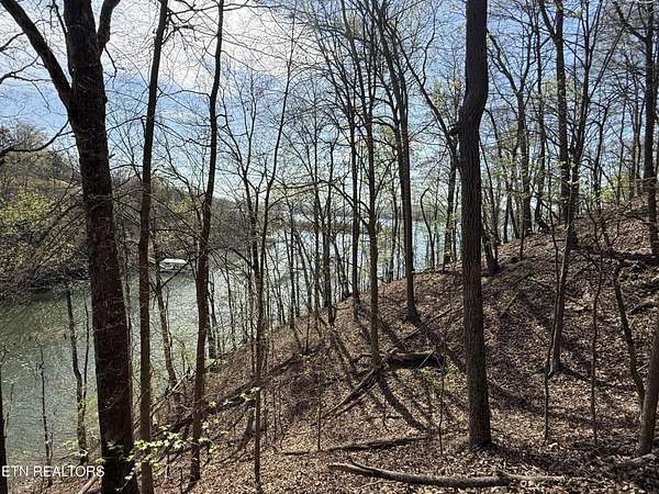 1.8 Acres of Residential Land for Sale in Rockwood, Tennessee