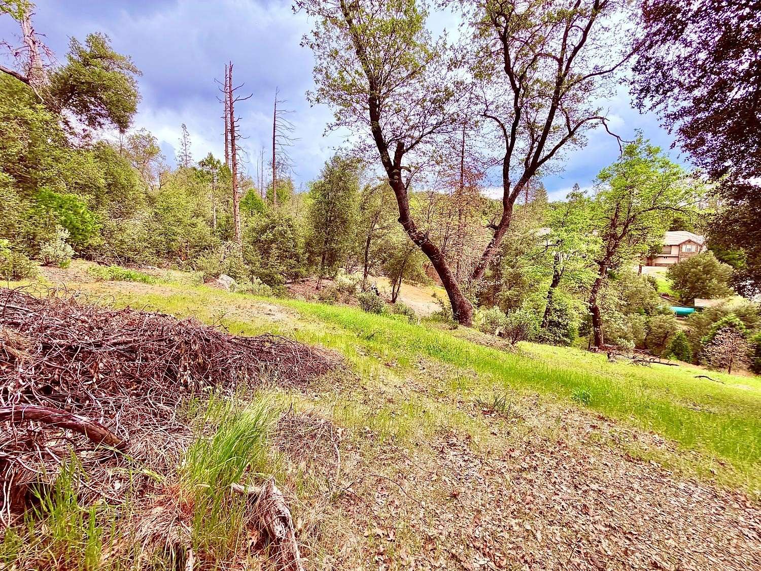 0.22 Acres of Residential Land for Sale in Bass Lake, California