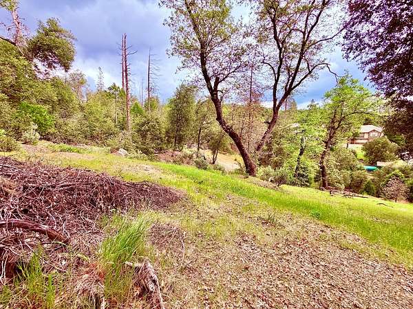 0.22 Acres of Residential Land for Sale in Bass Lake, California