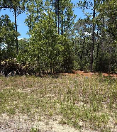 0.54 Acres of Land for Sale in Citrus Springs, Florida