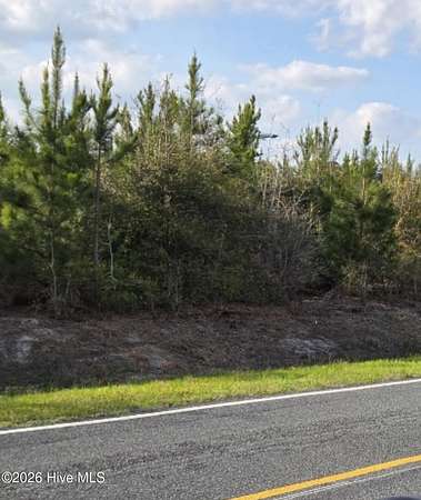 17.9 Acres of Land for Sale in Evergreen, North Carolina