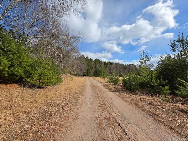 20.5 Acres of Recreational & Residential Land for Sale in Mongaup Valley, New York