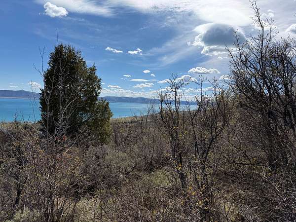 0.59 Acres of Residential Land for Sale in Fish Haven, Idaho