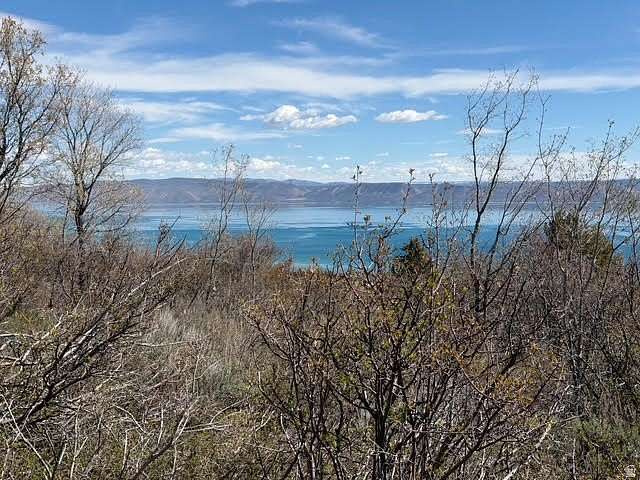0.49 Acres of Residential Land for Sale in Fish Haven, Idaho
