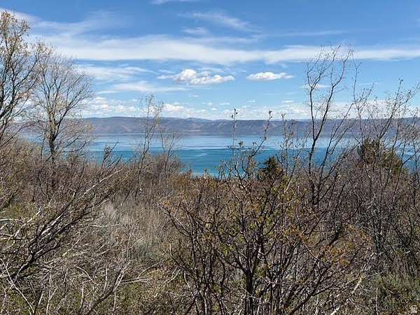 0.49 Acres of Residential Land for Sale in Fish Haven, Idaho